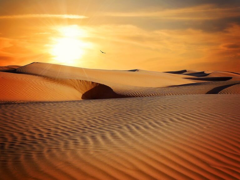 In the spotlight: Dune: Part Two (2024)