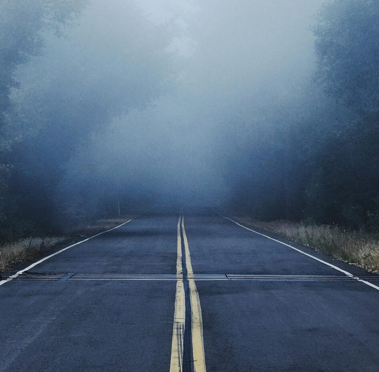 Gray Concrete Road Between Trees Covered With Fog