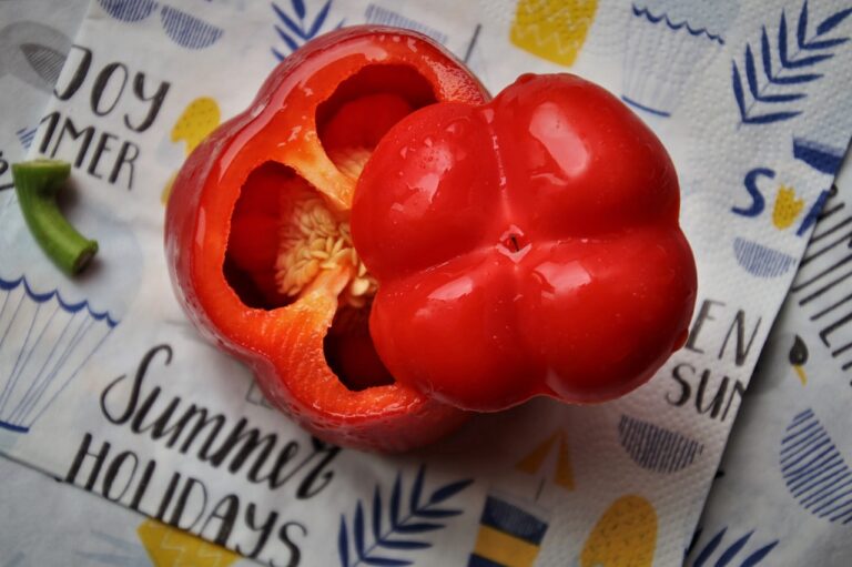 Recept voor gevulde paprika’s