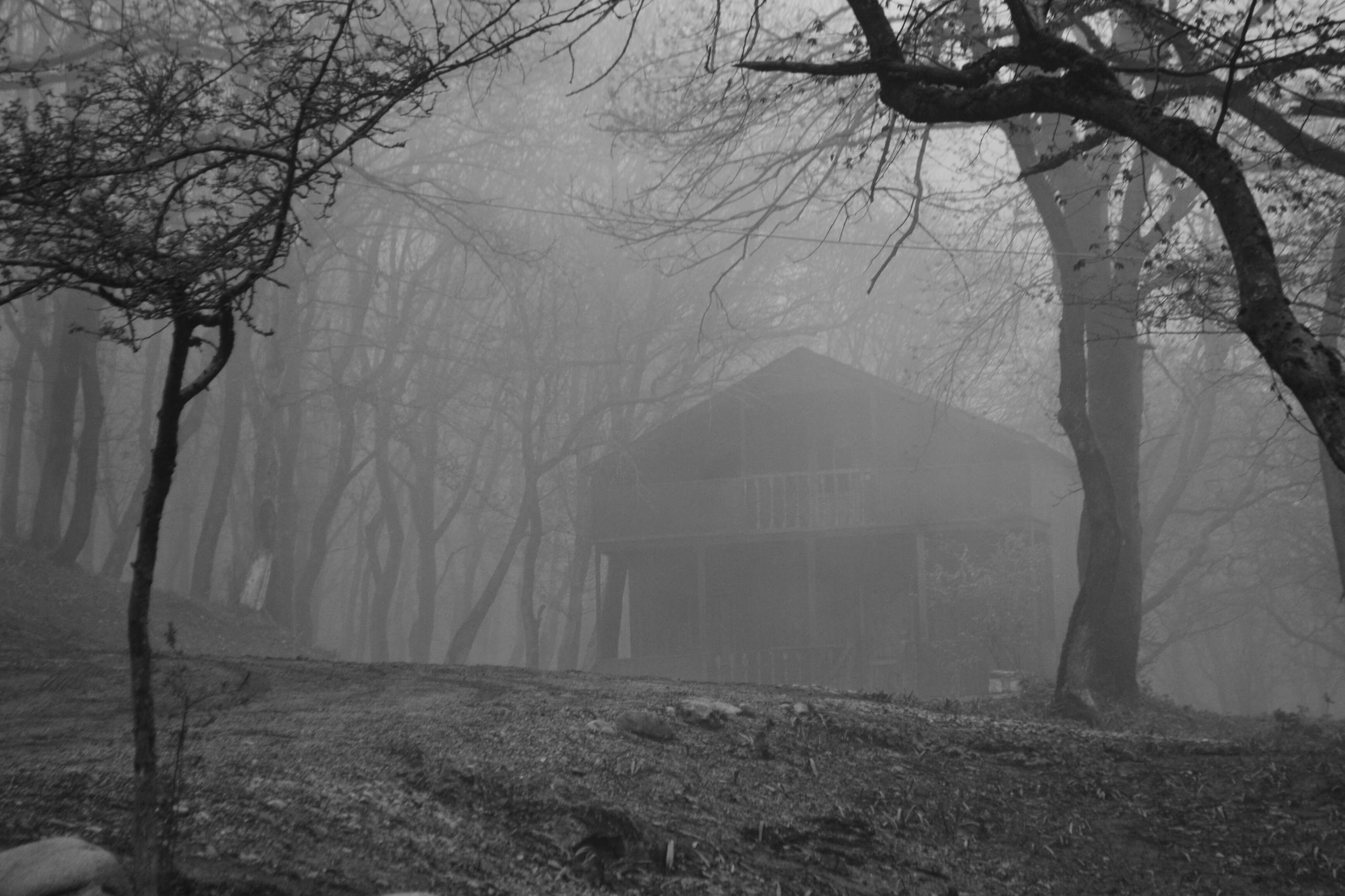 A Grayscale of a Cabin in the Woods