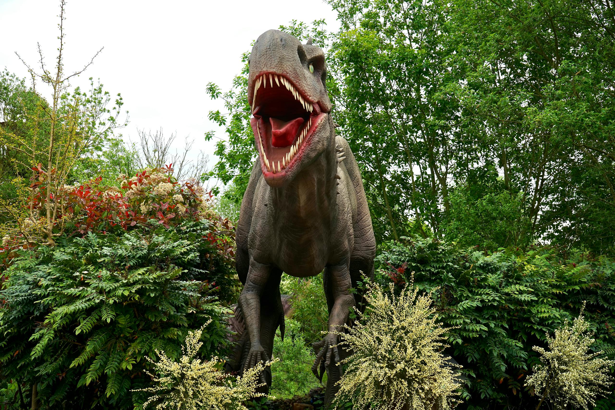 A lifelike dinosaur model surrounded by vibrant greenery in a tranquil park garden.