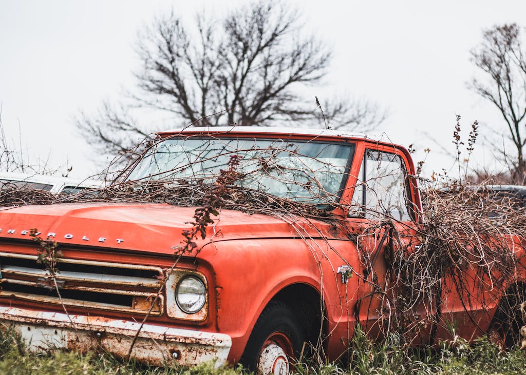 Abandoned red Chevrolet pickup truck entwined with vines in a rural landscape.